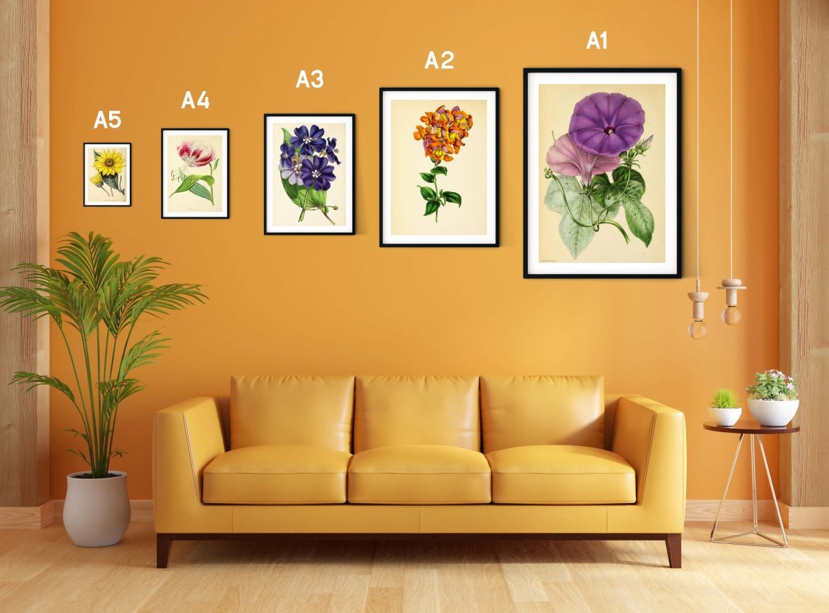 Framing Guide - A2, A3, & A4 Frame Size Guide - Art Prints