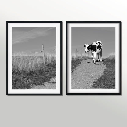 Framed Set of 2 prints cow print Photography diptych, farm art cow print set, black and white landscape print, cow art photography set Photography Prints