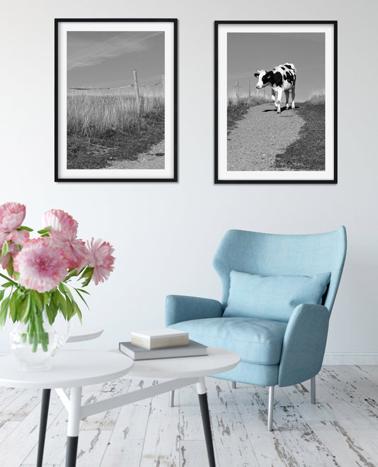 Framed Set of 2 prints cow print Photography diptych, farm art cow print set, black and white landscape print, cow art photography set Photography Prints
