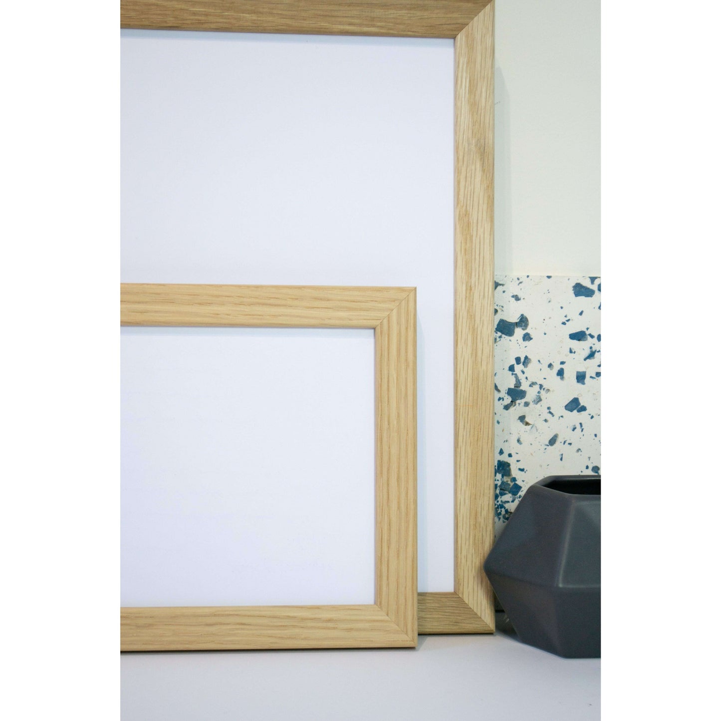 Angel fish scientific illustration print, antique fish print Vintage Animal Prints