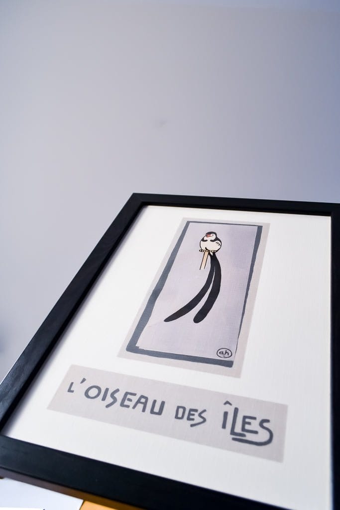 French childrens bird of paradise l'oiseau des illes nursery print french animal prints