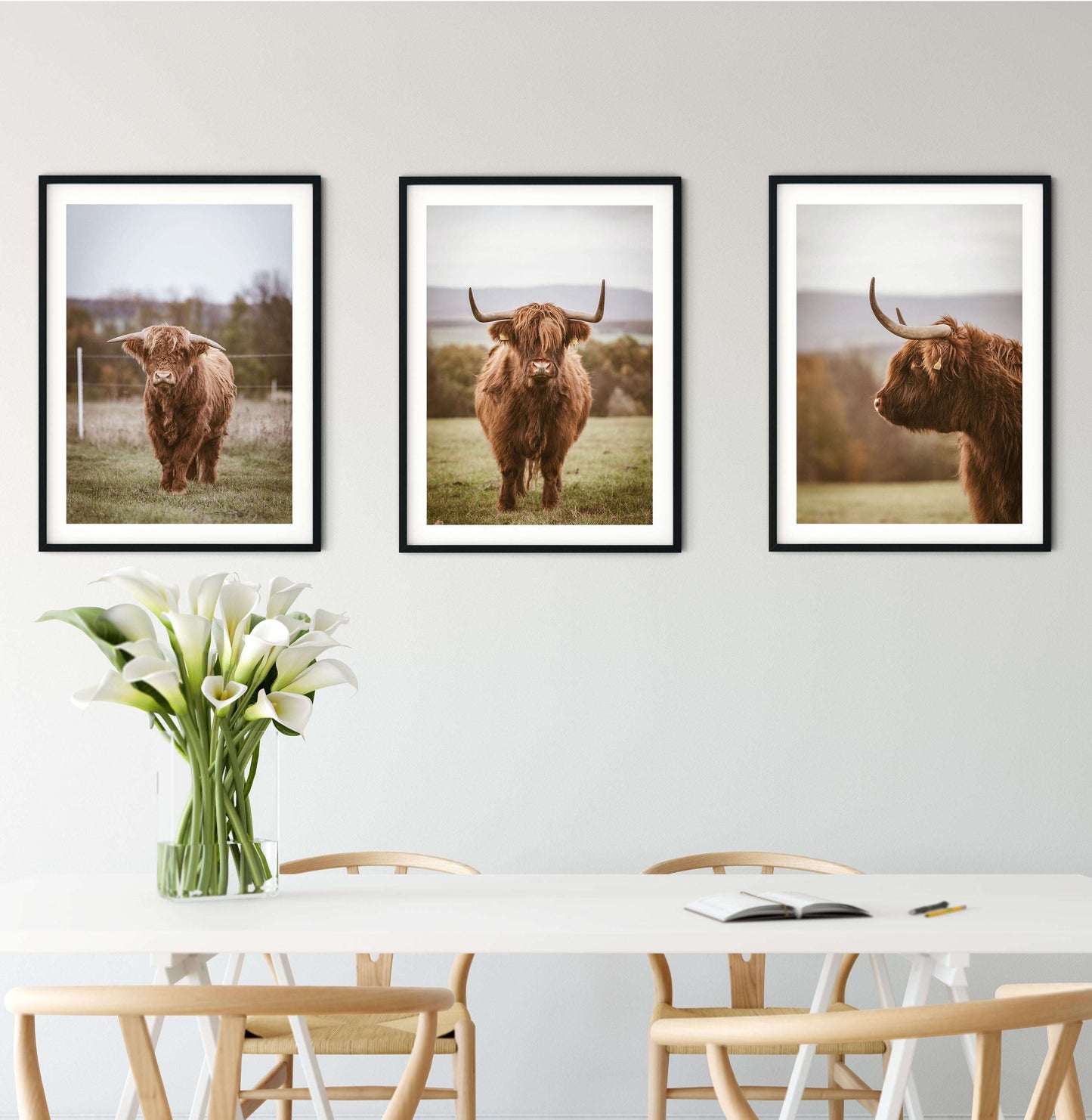 Highland Cow Print, Highland cattle print framed highland cow art prints 3 Photography Prints