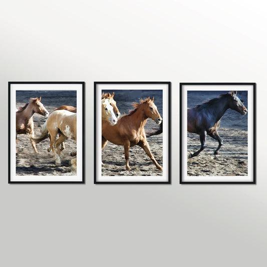 Set of 3 horse photography triptych prints, horse wall art Photography Prints