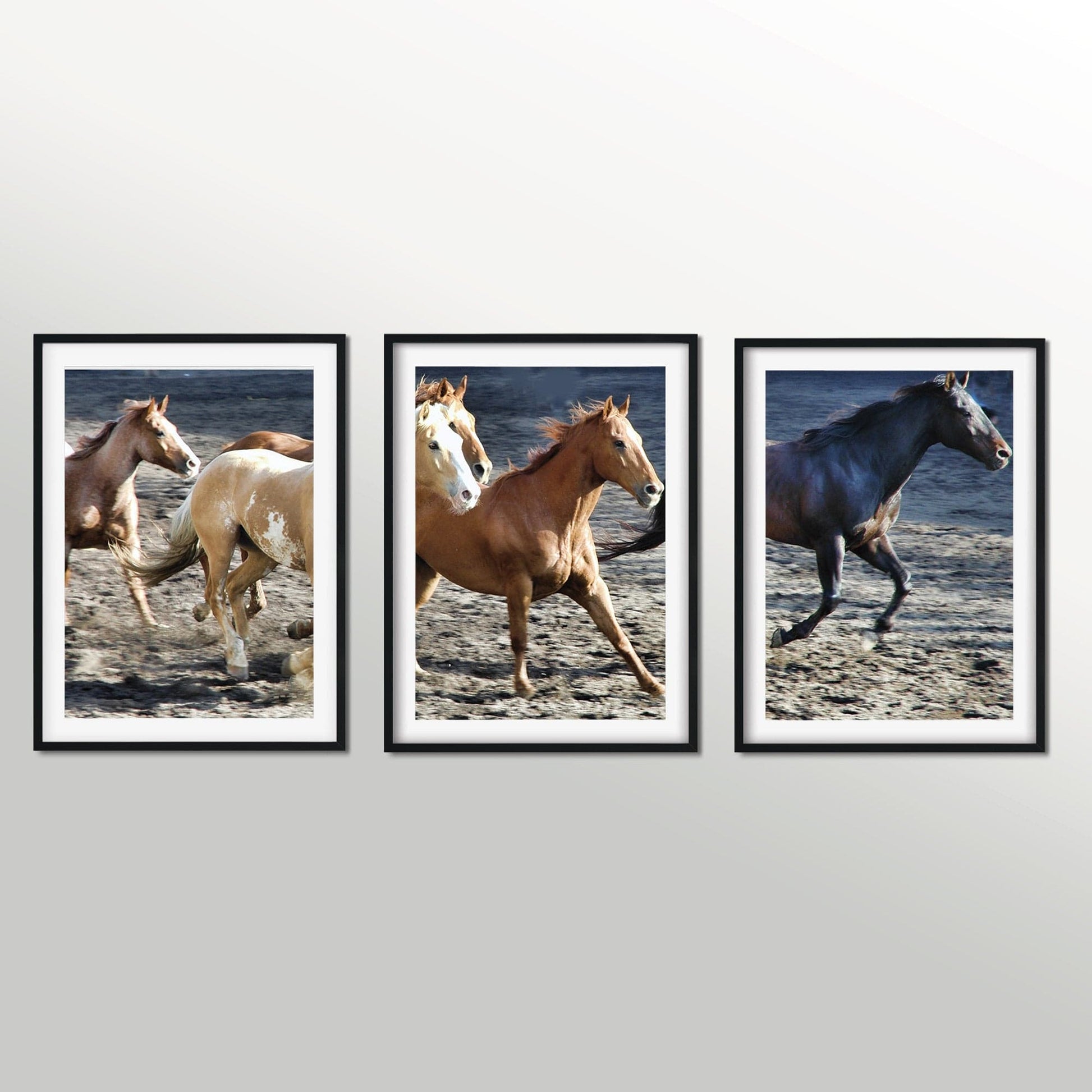 Set of 3 horse photography triptych prints, horse wall art Photography Prints