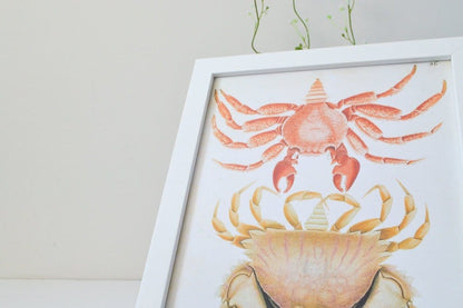 Framed Antique Crab Print, Nature scientific drawing crab illustration poster