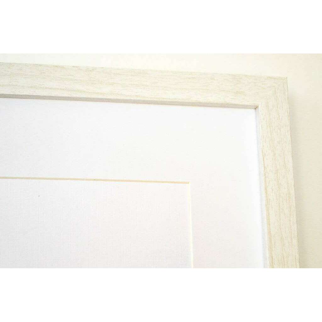 Antique Tree Frog Print, Framed scientific biology drawing Vintage Animal Prints