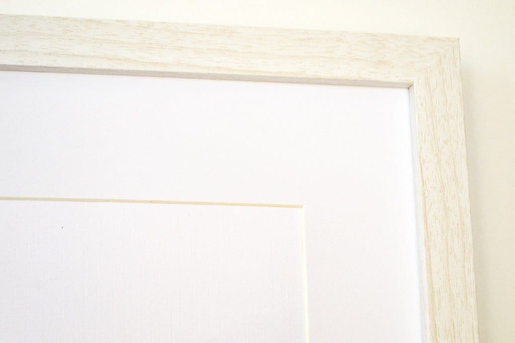 Tropical Bird Print, Woodpecker print bird wall art