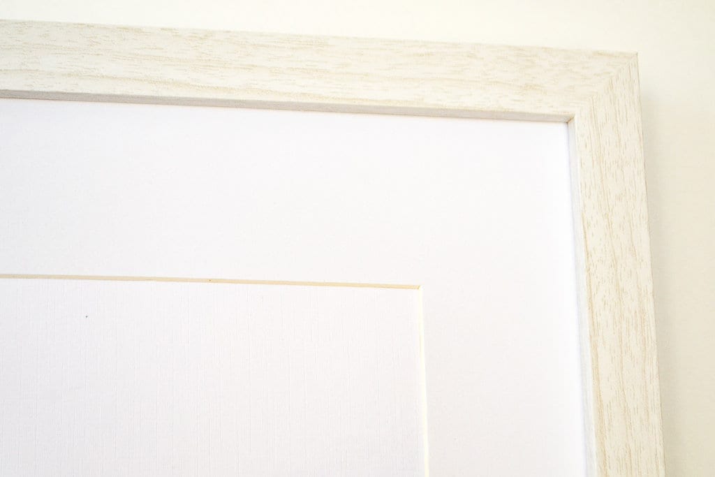 Antique Fish Print, Framed scientific fish posters Vintage Animal Prints