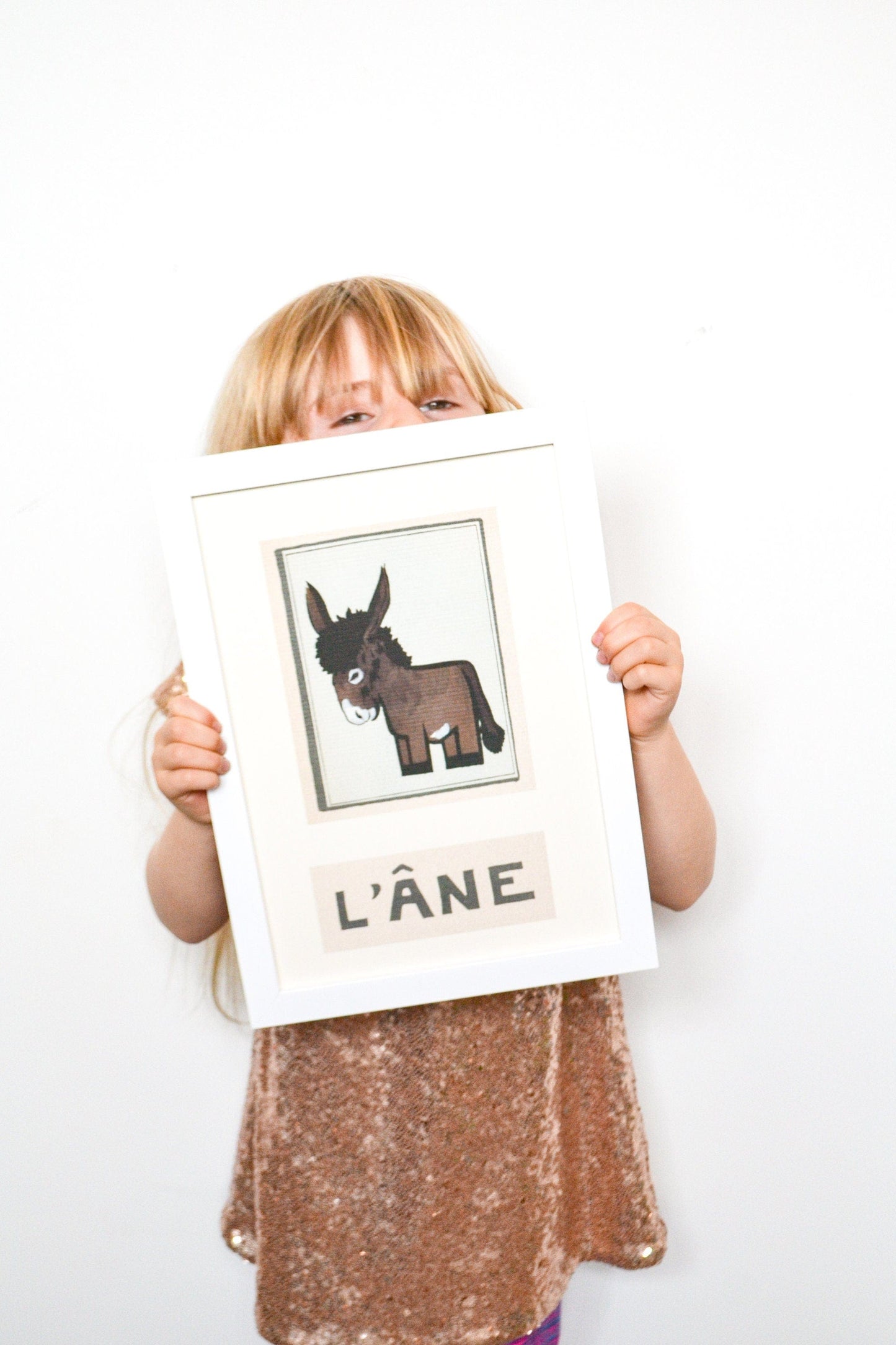 Framed Vintage Donkey illustration Print- Childrens French Nursery Decor L'ane Donkey Animal Wall Art Print A4 A3 french animal prints