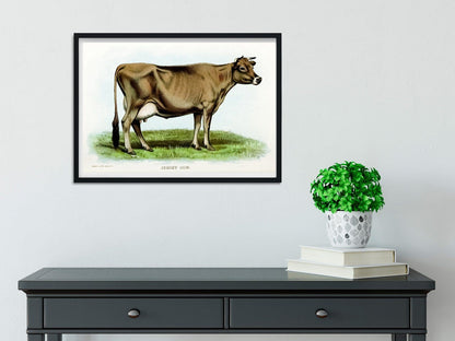 Set of 4 Framed Vintage Cow Prints, vintage kitchen posters cow prints, cow art cattle print set