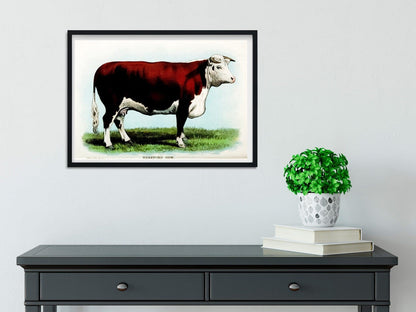 Set of 4 Framed Vintage Cow Prints, vintage kitchen posters cow prints, cow art cattle print set