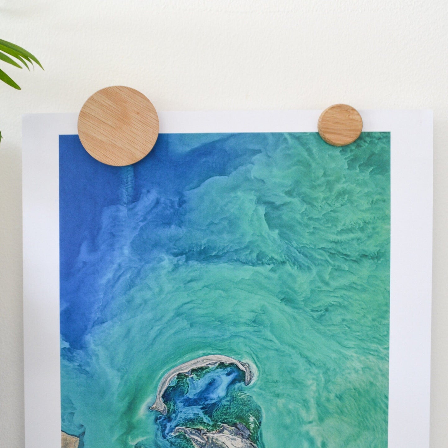 Magnet Dots: Oak Poster Hanging Magnets, Magnetic poster hanging kit