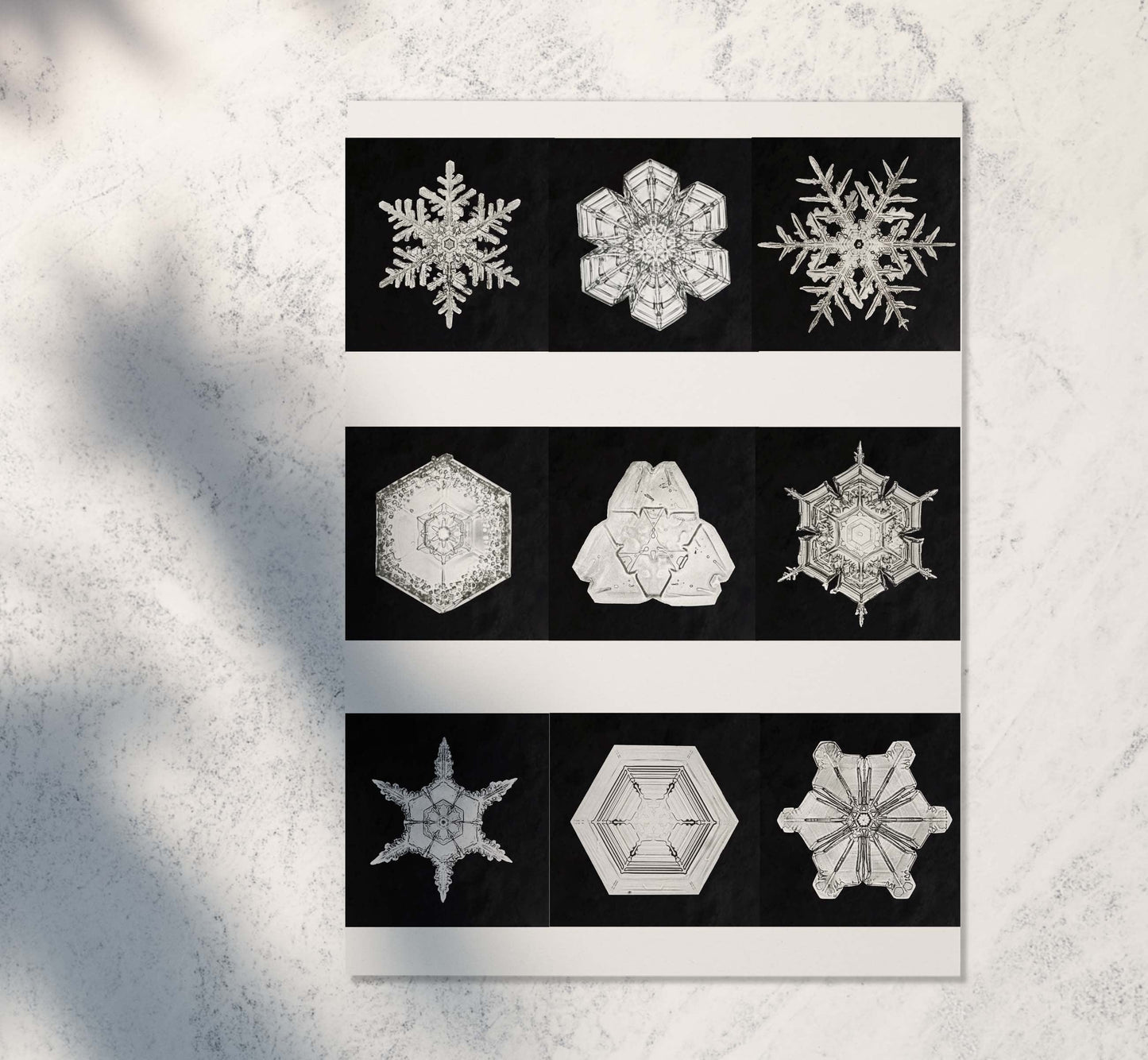 Black & White framed prints, Photography Snowflake poster Vintage Photography Prints