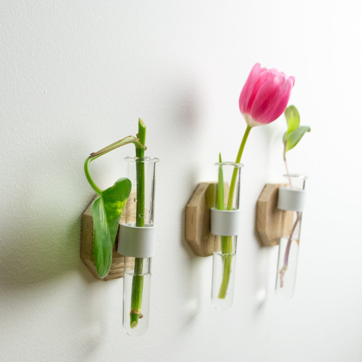 Geometric Oak Test Tube Bud Flower Vase, magnetic single stem vase perfect Dried Flower vase, fridge magnet small flower Vase or wall decor