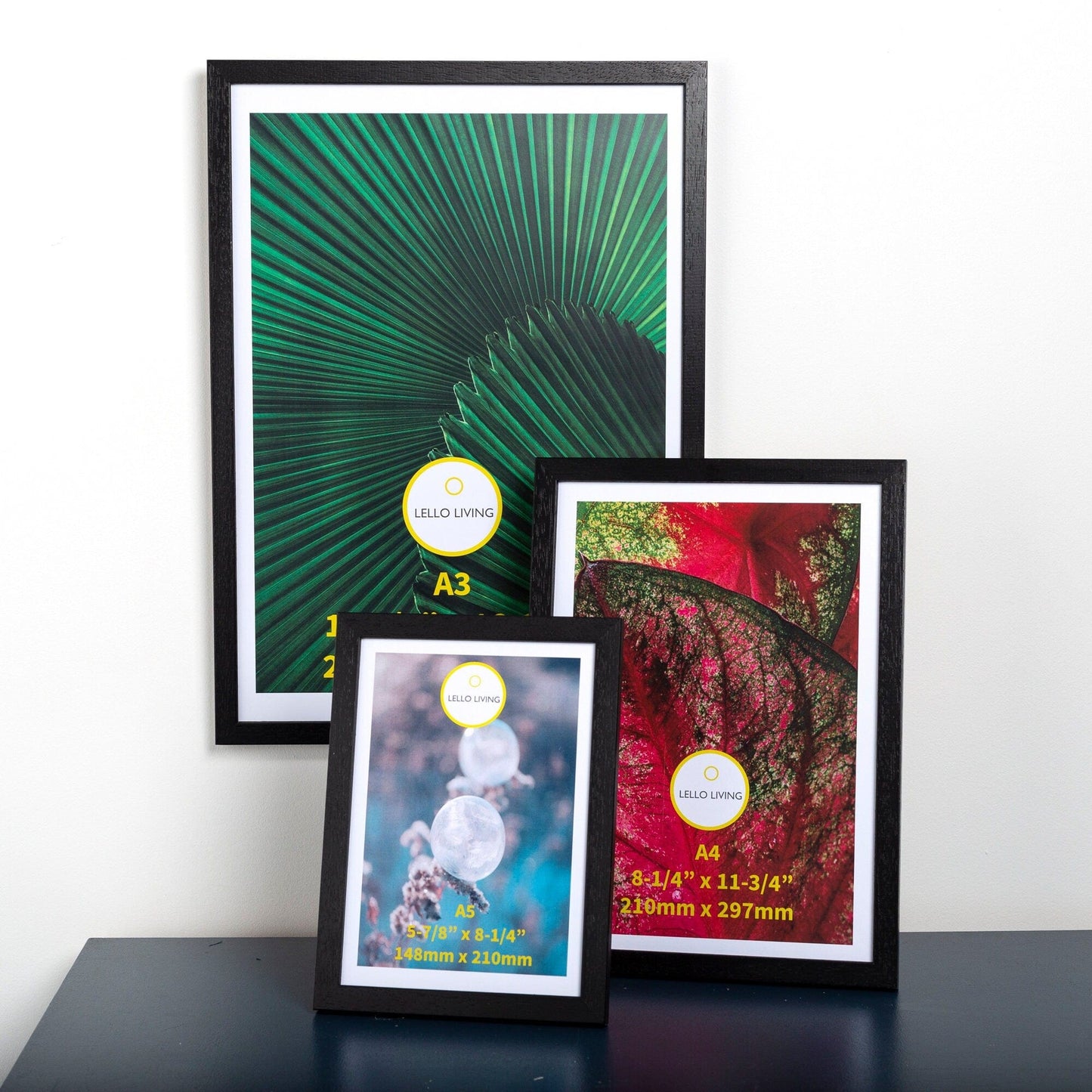 Framed White Birch trees print, birch photo abstract landscape print, minimalist landscape nature photography print, birch forest art