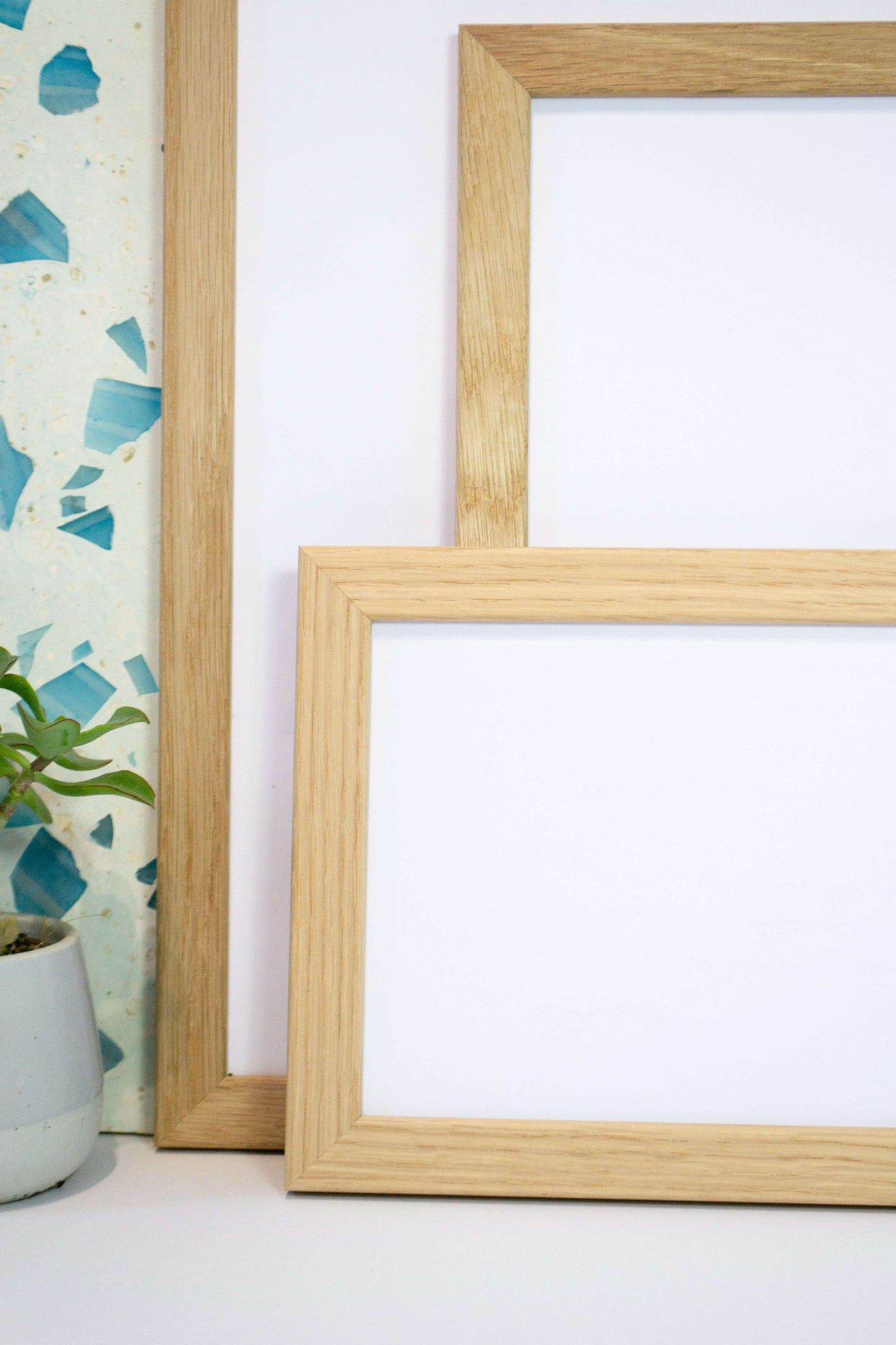 Tropical plant leaf minimalist photography print Photography Prints