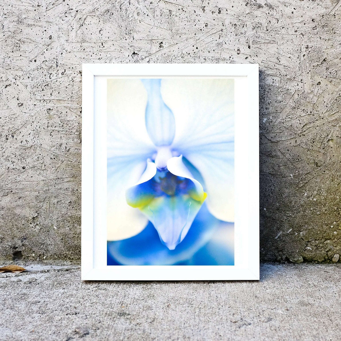 Orchid print, Blue Flower Art Macro Photography Print Photography Prints
