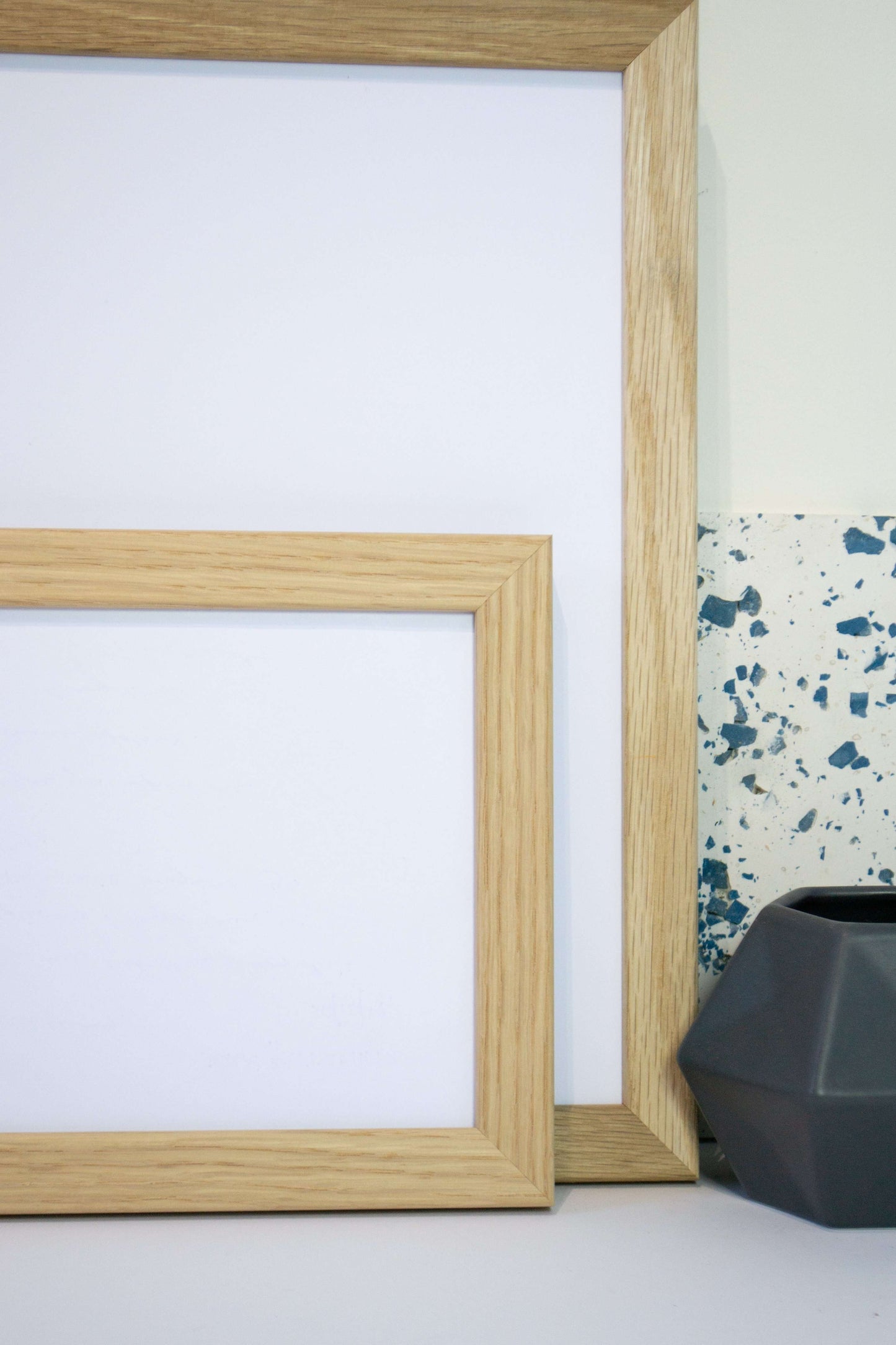 Natural history scientific butterflies print Vintage Animal Prints