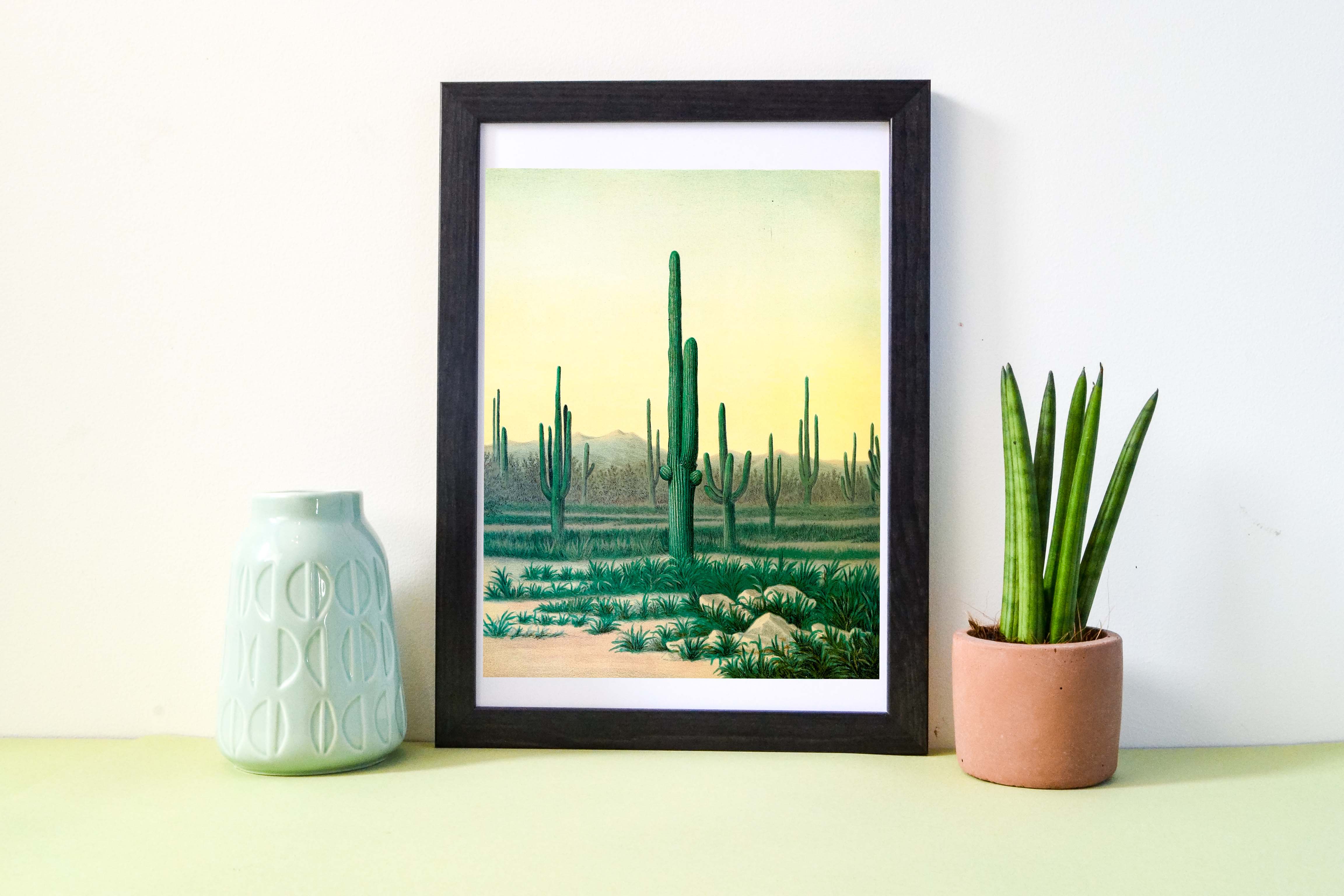 Tenuous Link time: Our 5 favourite movies set in Arizona โ LelloLiving