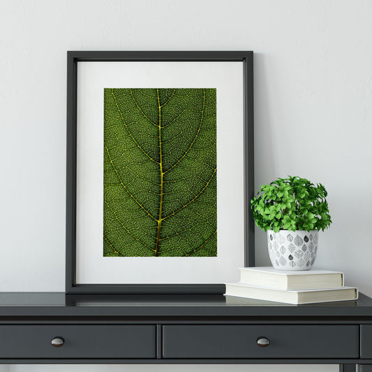 Framed tropical leaf Print, abstract leaf photography textures botanical print, tropical leaf, green close up leaf framed print Photography Prints