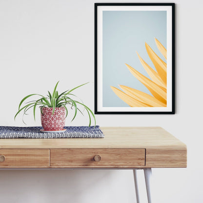 Modern Minimalist flower Print, abstract flower art photography print, minimalist art, blue and yellow flower photograph simple flower print