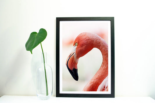 Minimal Flamingo Print, Flamingo Wall Art wildlife photography print