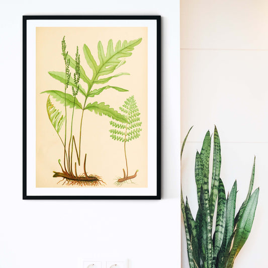 Botanical Fern print vintage botanical leaf prints, green fern print 3 botanical prints