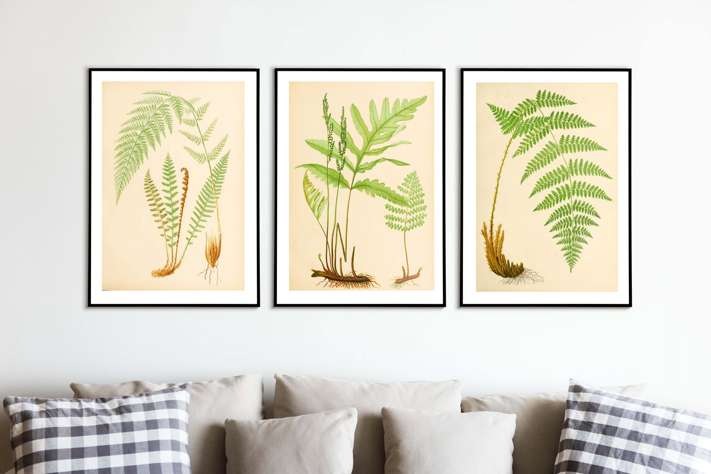 Botanical Fern print, antique botanical leaf prints woodland print 1