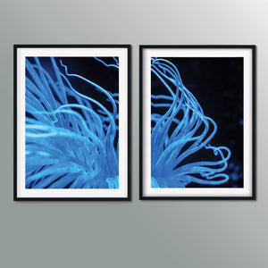 Set of 2 sea anemone diptych prints