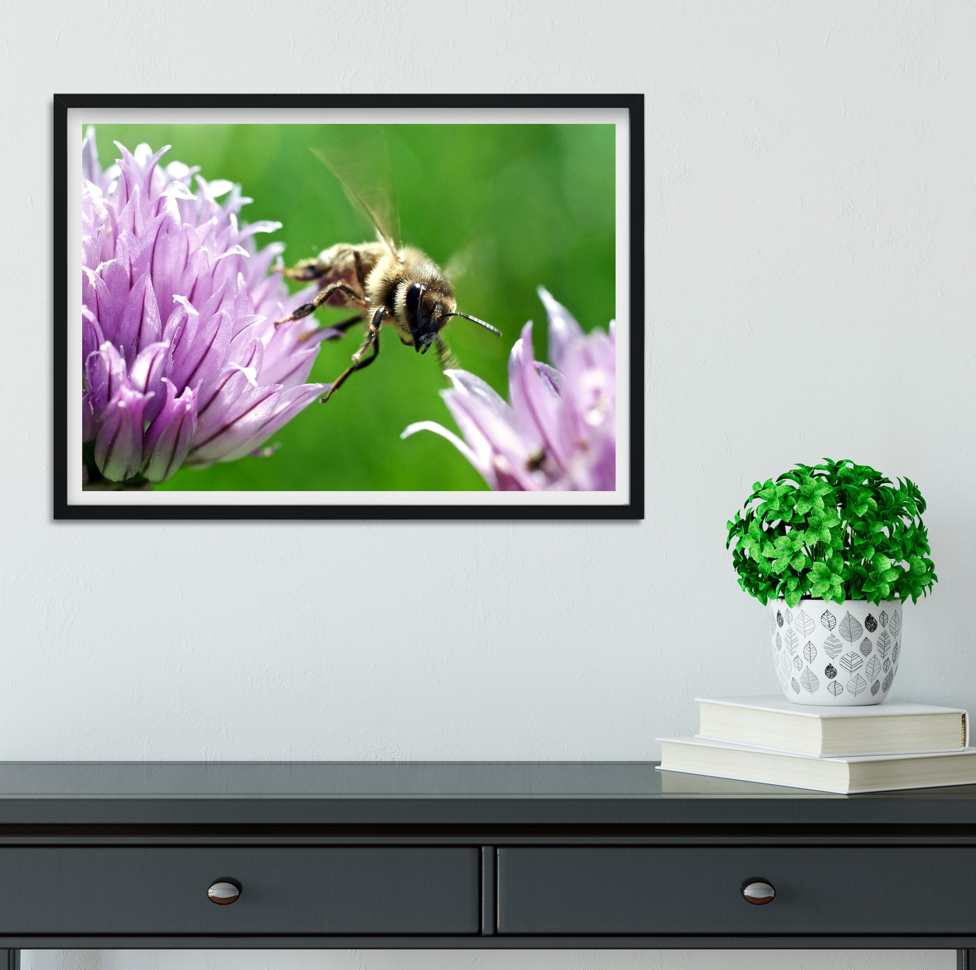Honey Bee macro photography Print photography print
