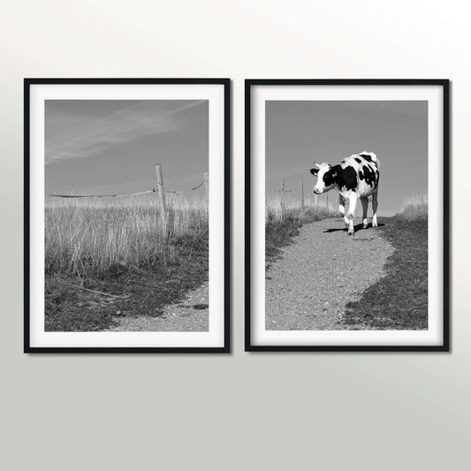 Set of 2 cow photography diptych prints, black and white cow prints Photography Prints