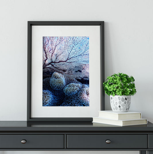 Blue coral abstract photography print Photography Prints