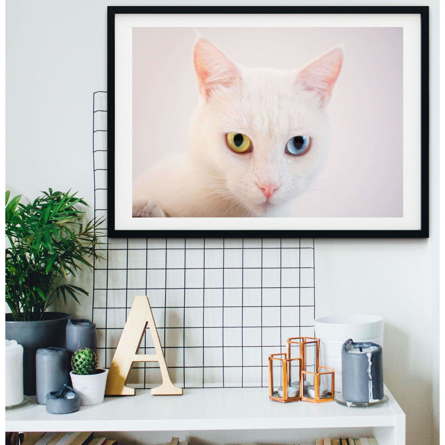 Framed Cat Print, cat portraits cat wall art photography print Photography Prints