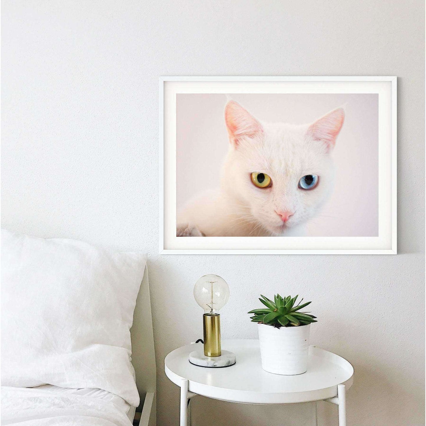 Framed Cat Print, cat portraits cat wall art photography print Photography Prints