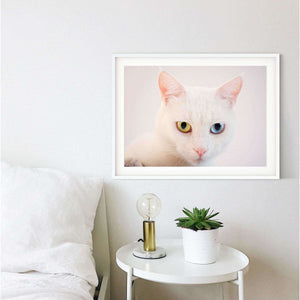 Framed Cat Print,minimal white cat photograph, cat lover animal wall art photography print