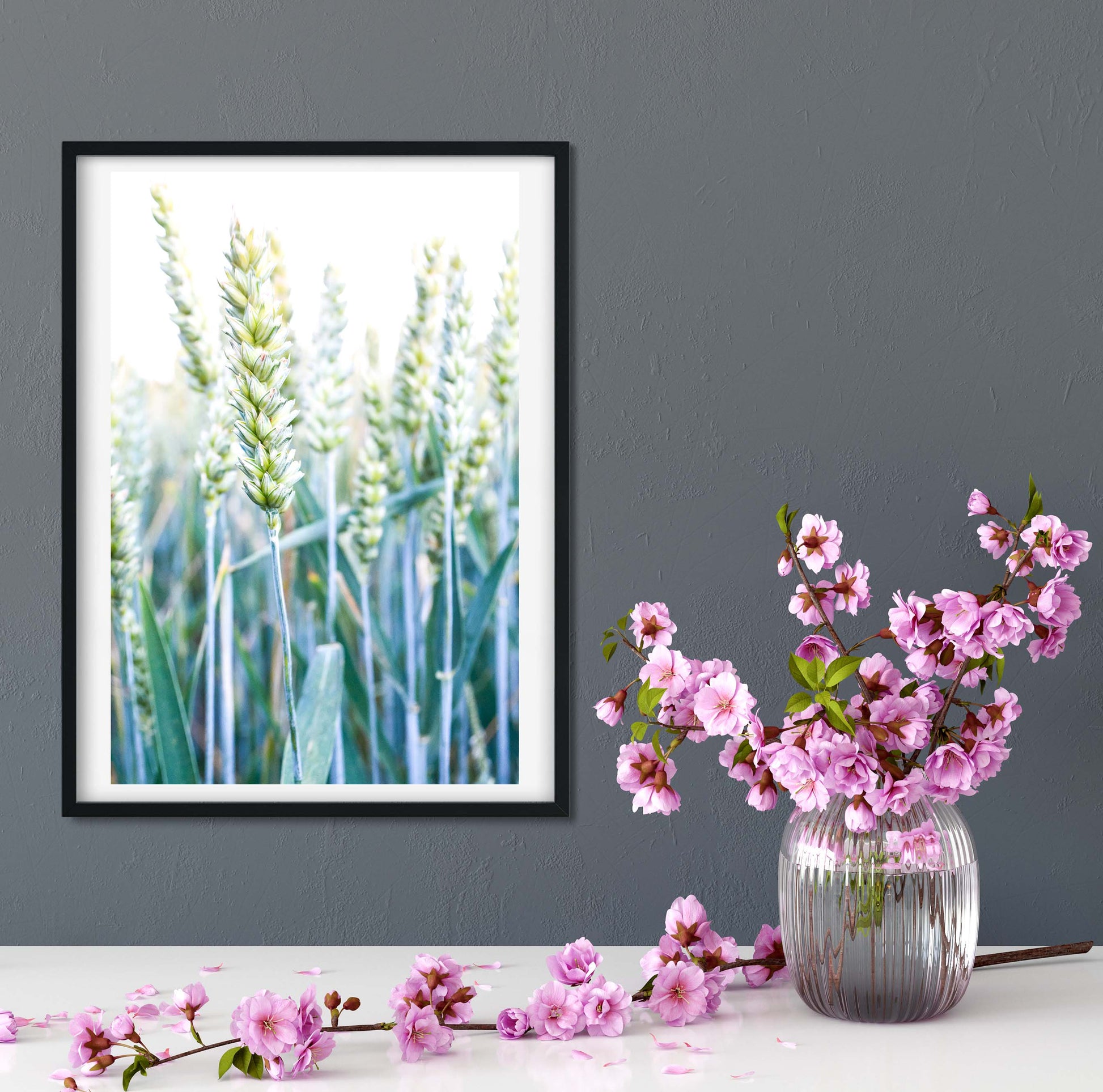 Corn field green wheat minimalist macro photography print Photography Prints