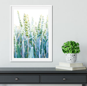 Corn field minimalist macro photography print