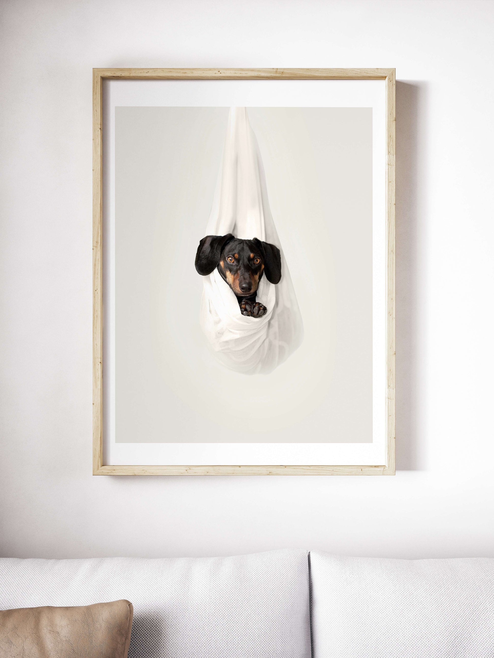 Daschund in a hammock photography print, dog art print Photography Prints