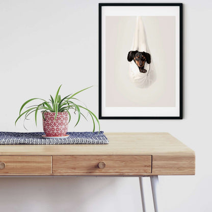 Daschund in a hammock photography print, dog art print Photography Prints