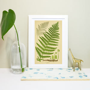 green fern wall art, framed fern print