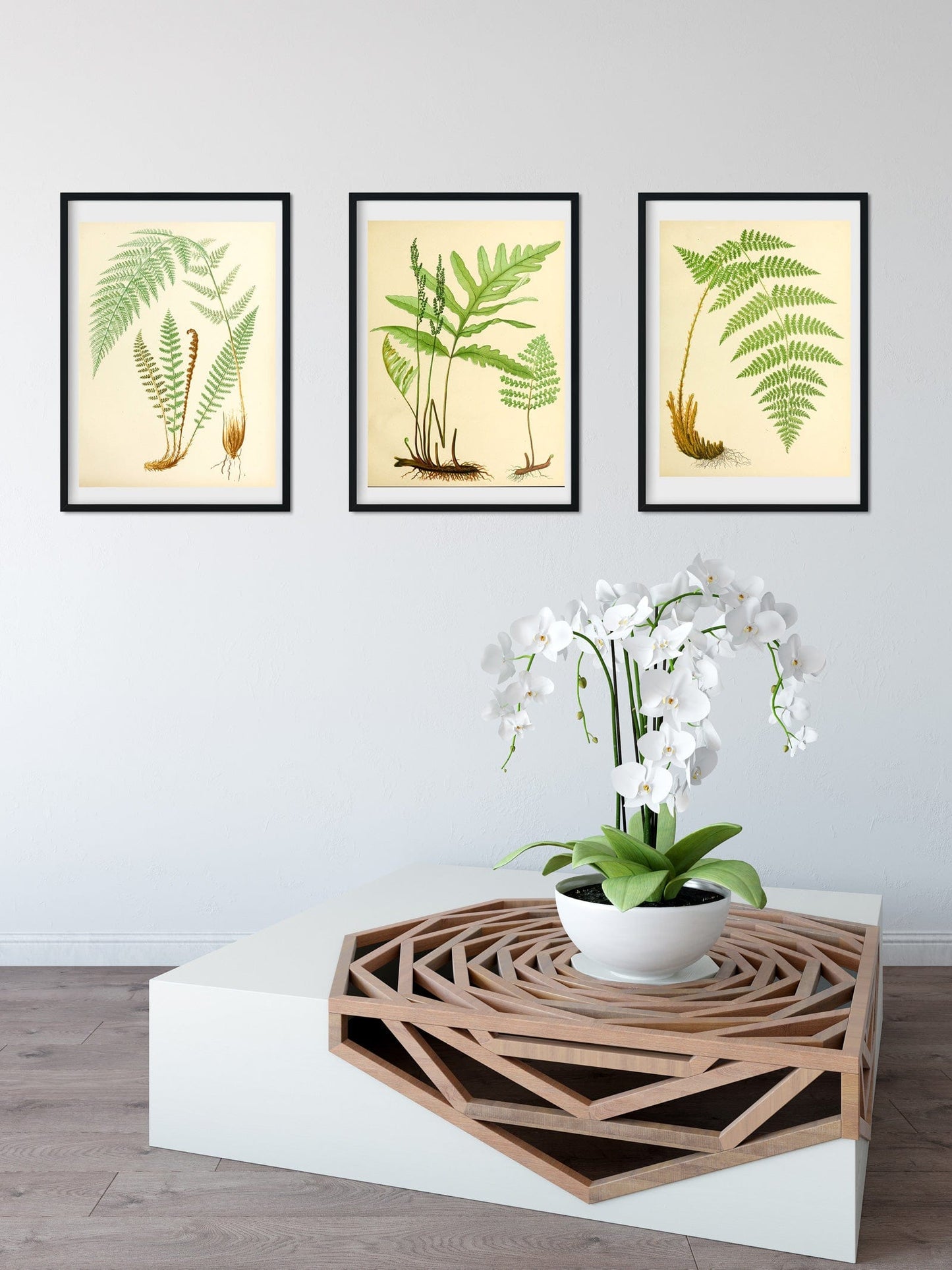 Botanical Fern print vintage botanical leaf prints, green fern print 3 botanical prints