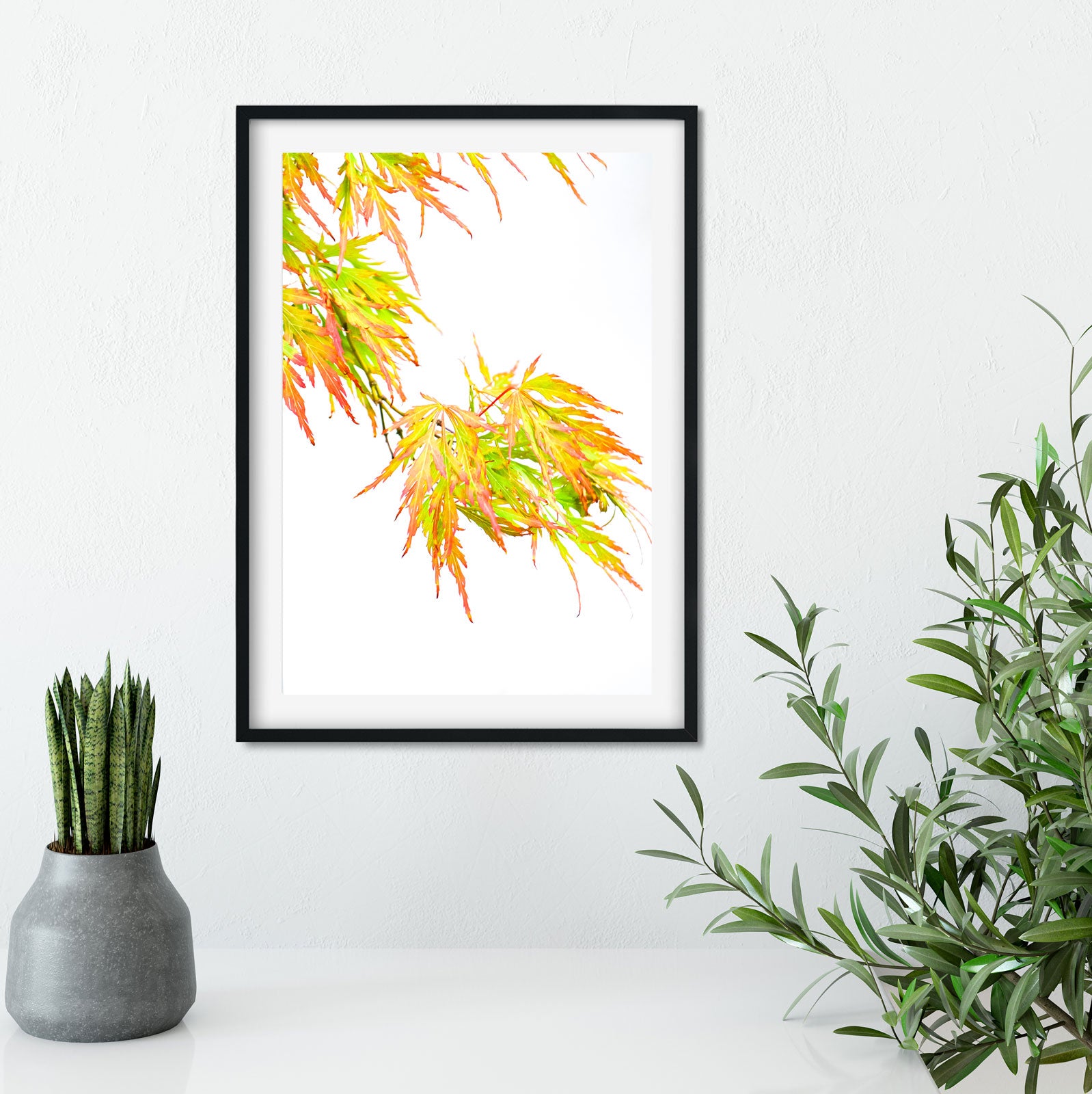 Japanese maple leaf photography print, Acer minimalist leaf print 2 photography prints