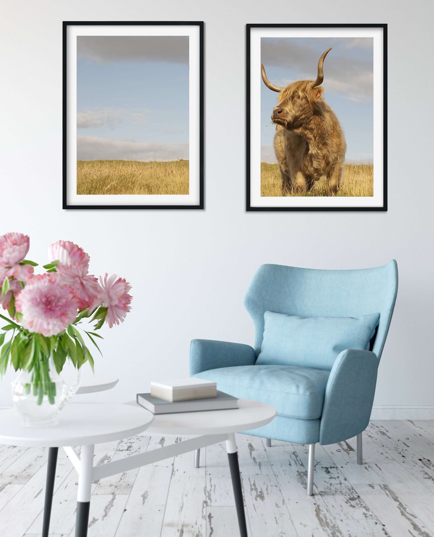 Highland cow prints diptych, set of 2 framed highland cattle prints, highland cow art Photography Prints