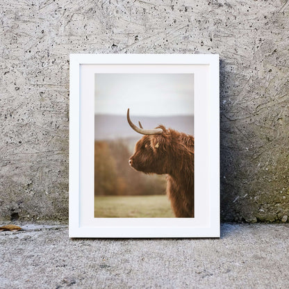 Highland Cow Print, Highland cattle print framed highland cow art prints 3 Photography Prints