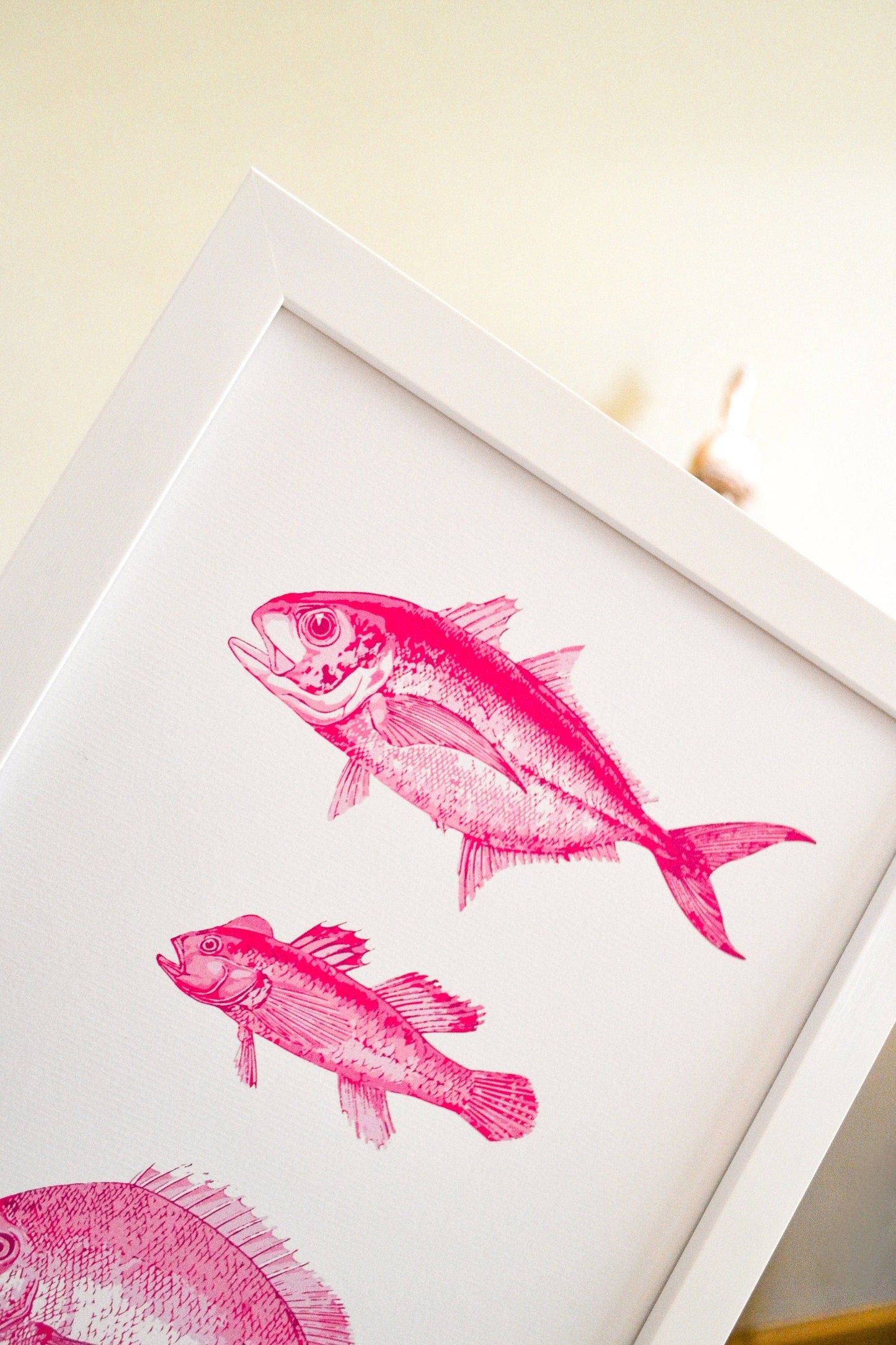 Pink Antique Fish Print, scientific drawing fish Poster, Pink fish Print