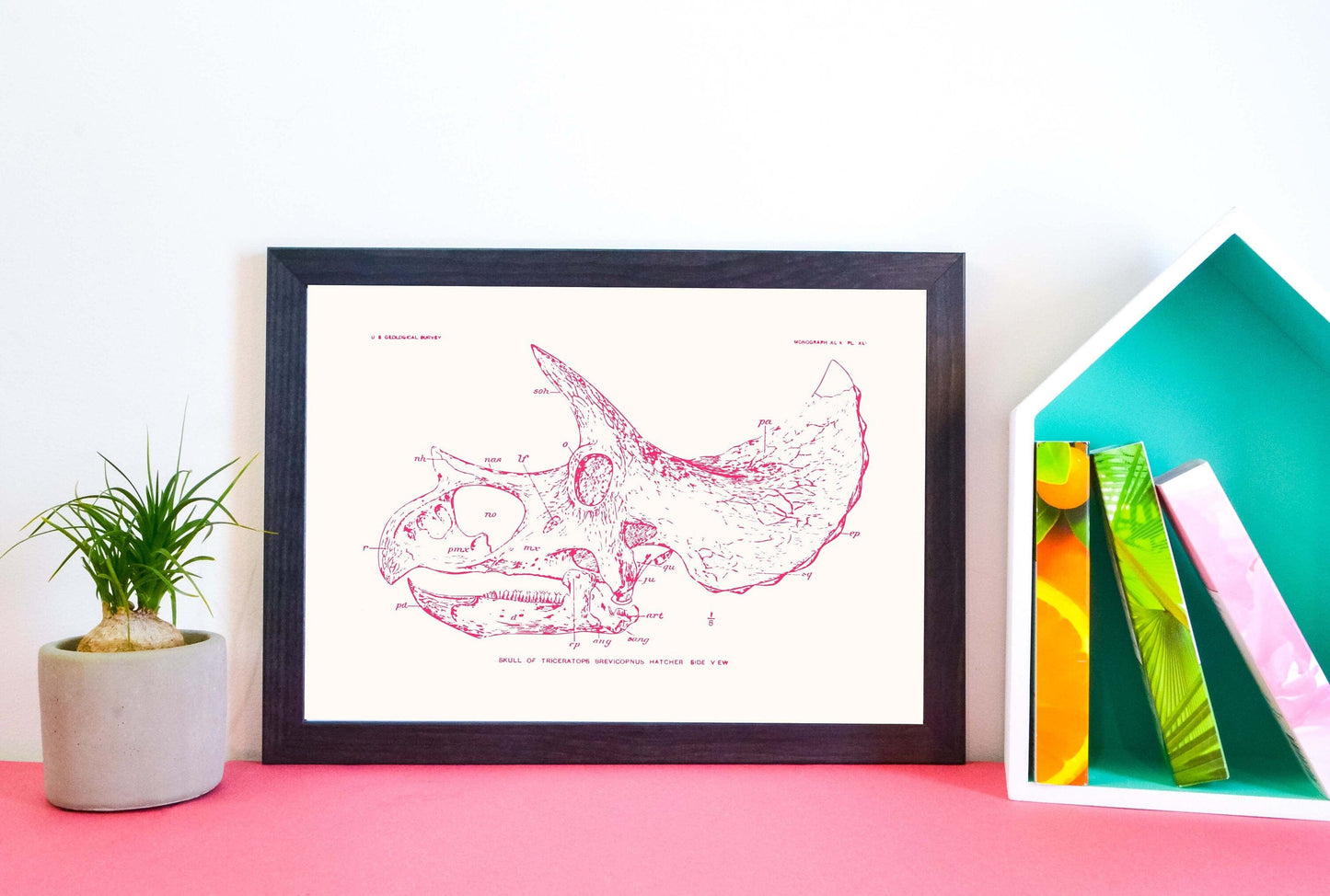 Framed Pink Triceratops skull print, dinosaur art print, Triceratops art skeleton print, dinosaur decor, dinosaur bones A4, A3, A2 Vintage Prints