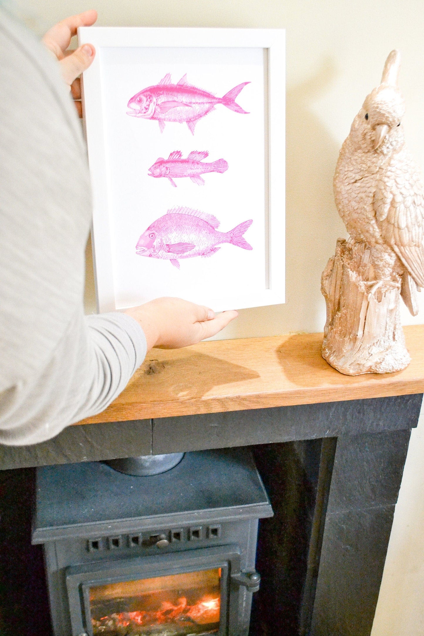 Pink Antique Fish Print, scientific drawing fish Poster, Pink fish Print