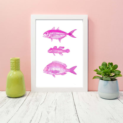 Pink Antique Fish Print, scientific drawing fish Poster, Pink fish Print