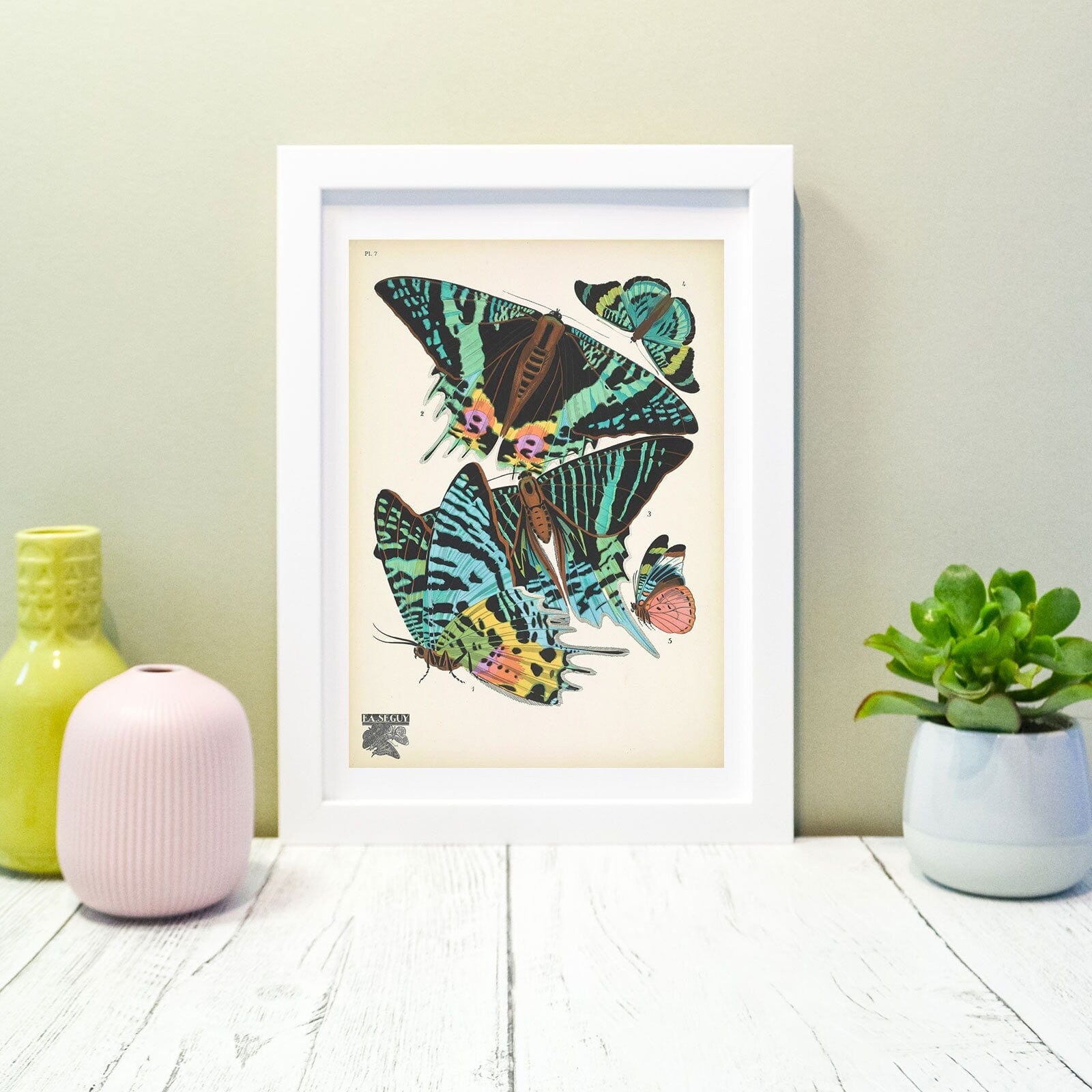 Framed Vintage Butterfly Print, Natural history butterflies Poster, butterfly Wall Art Print 16 of 16 A5 A4, A3, A2 Vintage Animal Prints