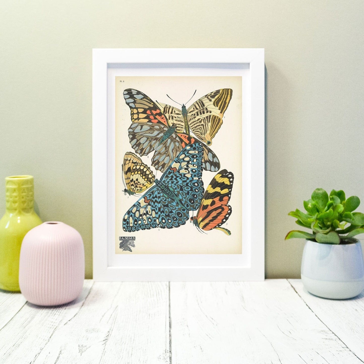 Framed Vintage Butterfly Print, Natural history butterflies Poster, butterfly Wall Art Print 14 of 16 A5 A4, A3, A2 Vintage Animal Prints